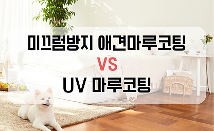 [코팅시공] 애견마루코팅/UV마루코팅